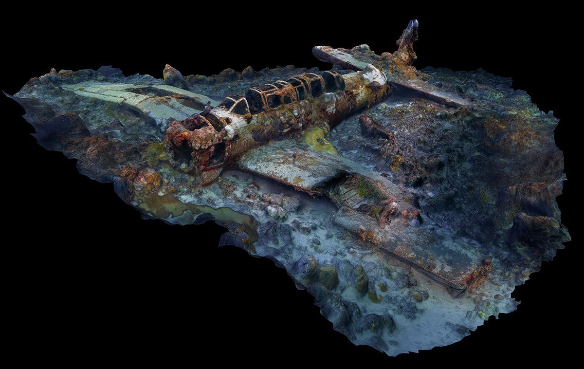 Underwater Photographer of the Year 2017: Vítězové soutěže