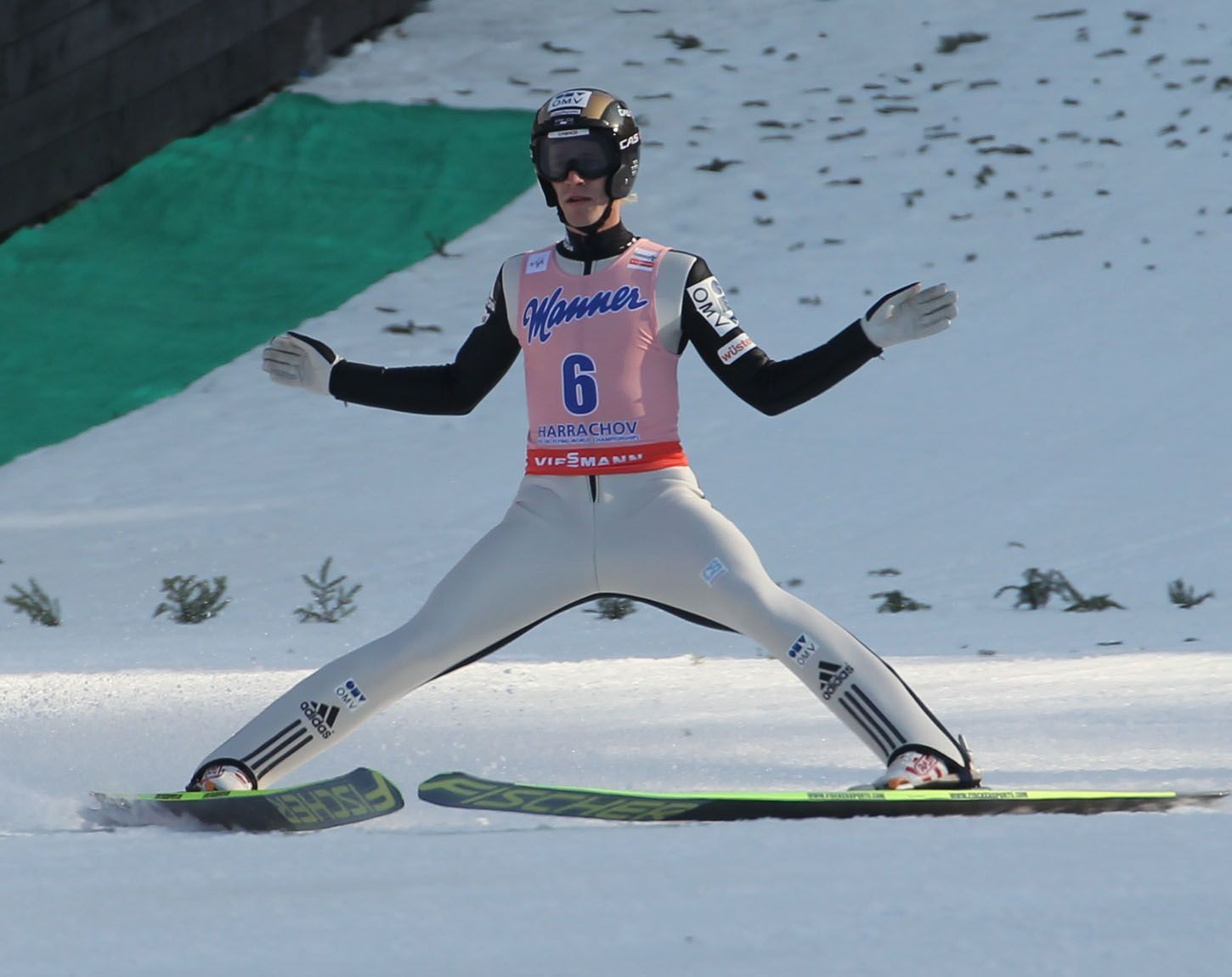 MS v letech na lyžích v Harrachově 2014 (první den) - Koudelka