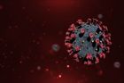 Laboratoř v Brně objevila dosud neznámou mutaci koronaviru