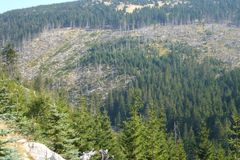 Soud: ÚOHS musí znovu řešit kauzu Lesy