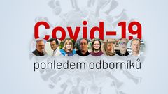 Covid - anketa (odborníci)