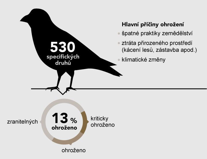 grafika - Ohrožení ptáci v Evropě