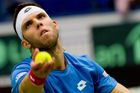 Čeští tenisté věří, že baráž Davis Cupu zvládnou v Indii i bez Berdycha