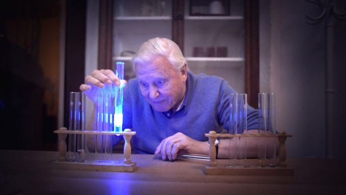 David Attenborough v dokumentu Světlo na Zemi.