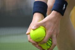 Tenista Bašič získal v Sofii premiérový titul a poprvé v kariéře se posune do stovky