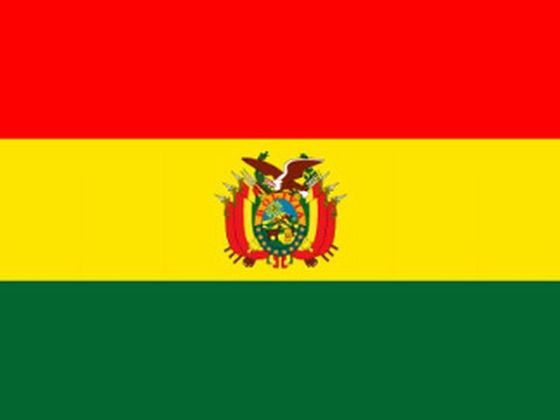 Infobox Bolivijská vlajka