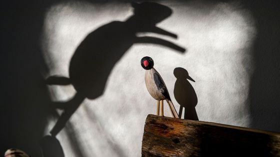 Mytičtí tvorové v magických kulisách. Imaginárium bratří Formanů se usadilo na zámku