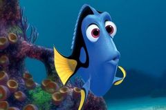 Pixar se vrací do hlubin moře. Místo Nema se bude hledat rybka Dory