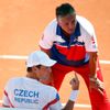 Tomáš Berdych a Jaroslav Navrátil v semifinále Davis Cupu 2014