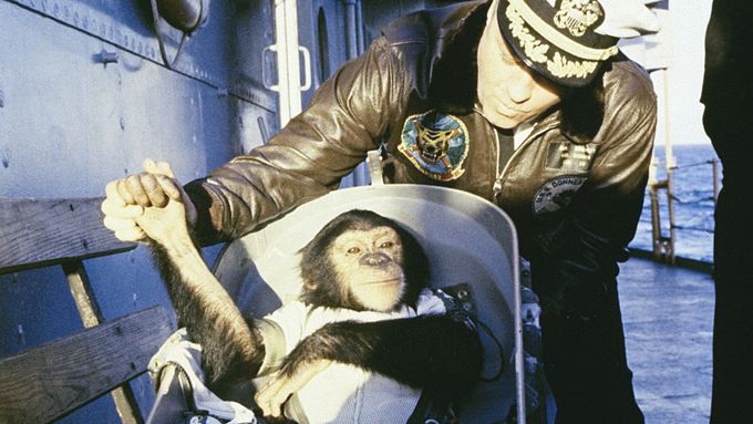Foto: Ham letěl do vesmíru dřív než člověk. První "astrošimpanz" trénoval rok a půl