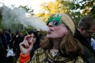 Americký Oregon je zaplavený legální marihuanou, spotřebovat ji by trvalo šest let