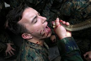 Foto: Přežili byste v džungli? Vojáci na extrémním kurzu přežití pijí kobří krev a jedí tarantule