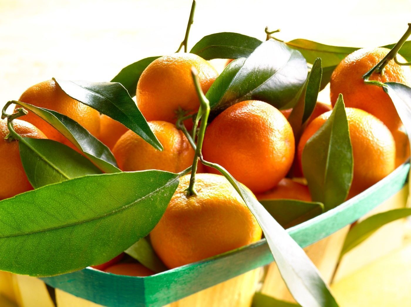 Citrus: mandarínka