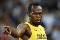 Boltův rekord překonal stavební dělník s buvolem. A pianista Krpálek napálil fanoušky