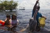 Igor Andrade se delfínoterapii věnuje už několik let. Děti z nízkopříjmových skupin jsou u něho léčeny zdarma. Jeho asistent Carlos Henrique (na snímku vpravo) právě k sobě láká delfíny.