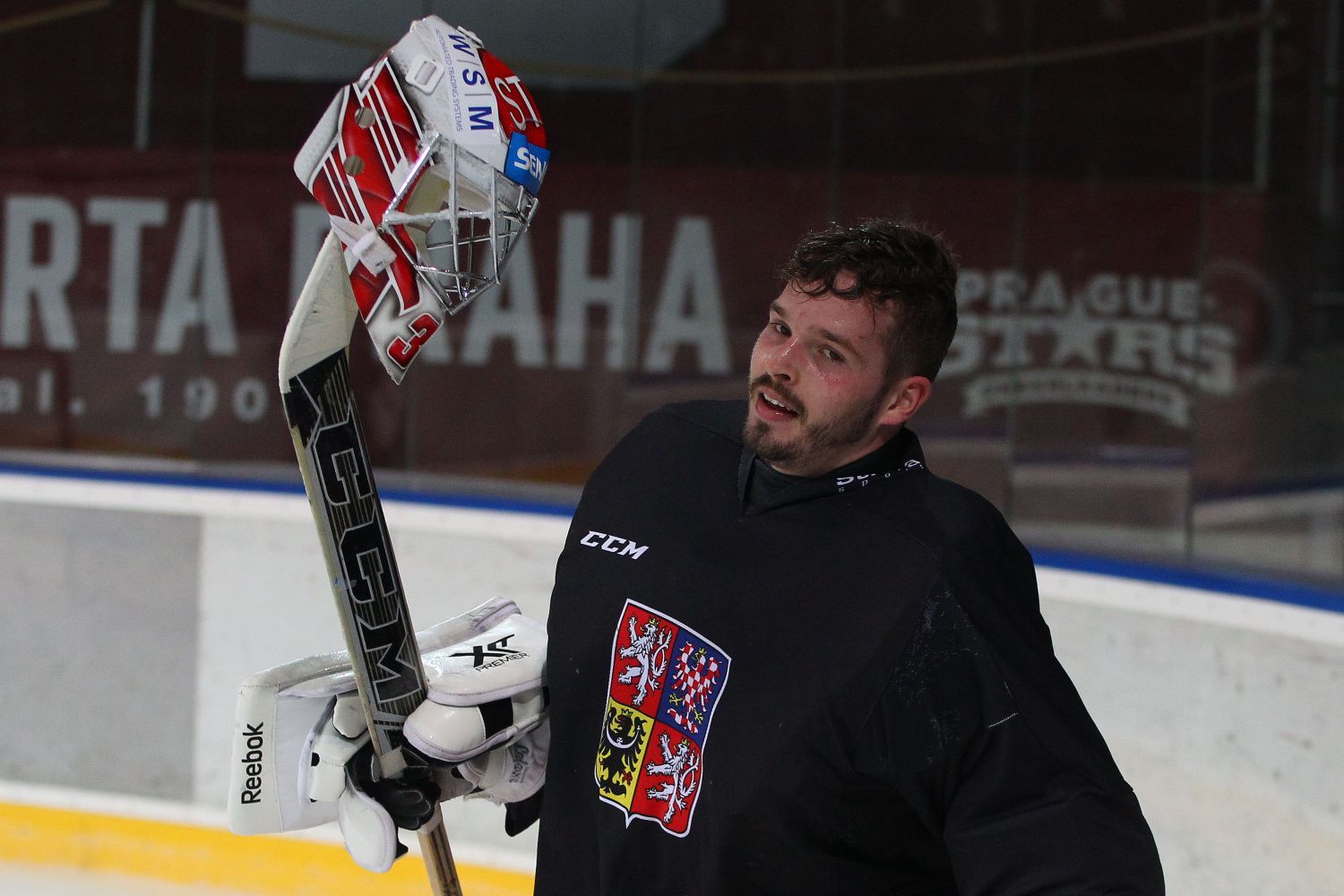Sraz hokejové reprezentace před Karjalou 2015: Dominik Furch