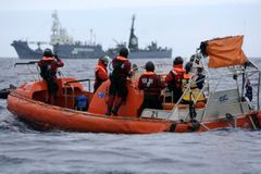 Velryby nebezpečně hubnou, tvrdí japonští vědci