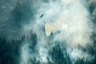Ve Švédsku zuří obří lesní požáry. Hasiči se vrací i z dovolených, v zemi je nebývalé horko