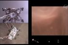 Mimozemská realita v úchvatném detailu. NASA zveřejnila záběry z přistání na Marsu