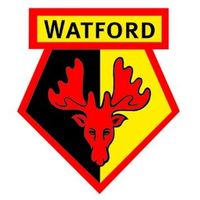 Watford watford logo