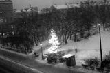 Rozsvícený vánoční strom na Cyrilometodějském náměstí. Rok 1950.