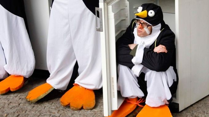 Globální oteplování: Bude jediným místem, kde bude tučňákům dobře, lednička? Ilustrační snímek pochází z protestu aktivistů v Bruselu na jaře 2009.