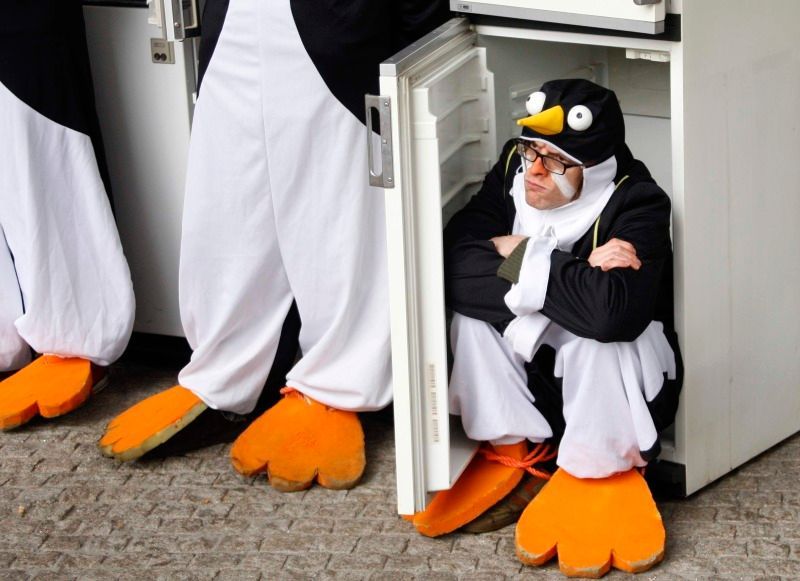 Globální oteplování: Přežijí tučňáci jen v ledničkách?