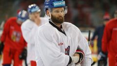 Hokejovou reprezentaci doplní Martin Růžička, případně by mohl nahradit zraněného Gulaše