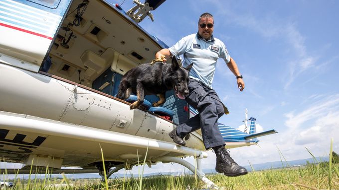 Foto: Policejní psi cvičili v Mostě přelety vrtulníkem. Šlo jim to skvěle