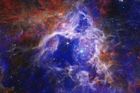 Tento barevný snímek mlhoviny Tarantule vznikl kombinací nových záběrů z Jamese Webba a z pozorování učiněného v rentgenové laboratoři Chandra. Díky tomu snímek zachycuje nejen vznik nových hvězd, ale také horké plyny a pozůstatky po výbuchu hvězdy.
