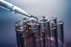 Čeští vědci úspěšně otestovali látku, která léčí encefalitidu i horečku dengue
