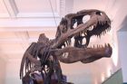 Objeven největší dinosaurus na světě
