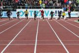 Usain Bolt se těsně před začátkem mítinku omluvil, největší hvězdou na královské trati tak byl Asafa Powell. Stovku si zaběhl během dvaceti minut dokonce dvakrát...