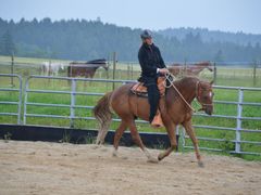 Do sedla koně se vrátila již tři měsíce po úrazu, při kterém ochrnula na dolní končetiny.