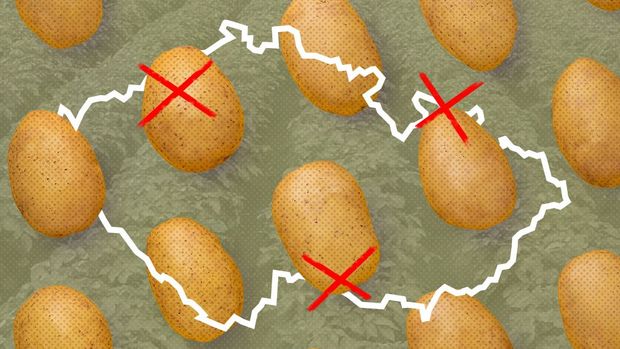 Konec brambor v Česku? Velká grafika ukazuje, jak se mění cena, spotřeba i pěstování