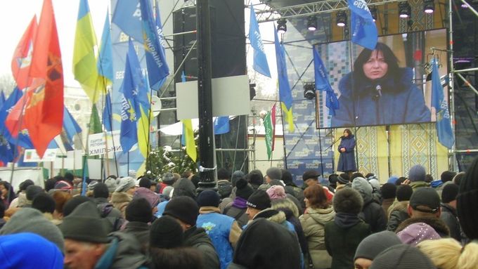 Mítink "druhé strany": Příznivci prezidenta Viktora Janukovyče a jeho Strany regionů před parlamentem.