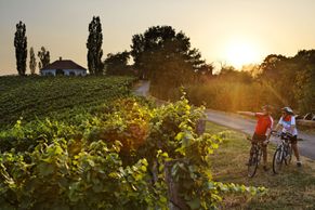 Tohle je nejslunnější místo v Rakousku: Tisíce kilometrů cyklotras, vinohrady i lázně