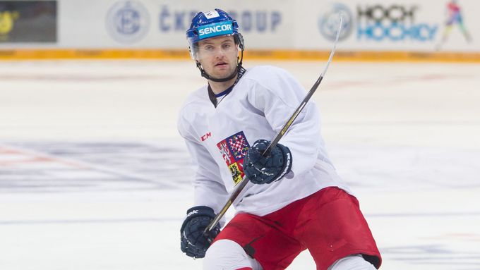 Jakub Jeřábek patří na mistrovství světa k nejplatnějším českým hokejistům.