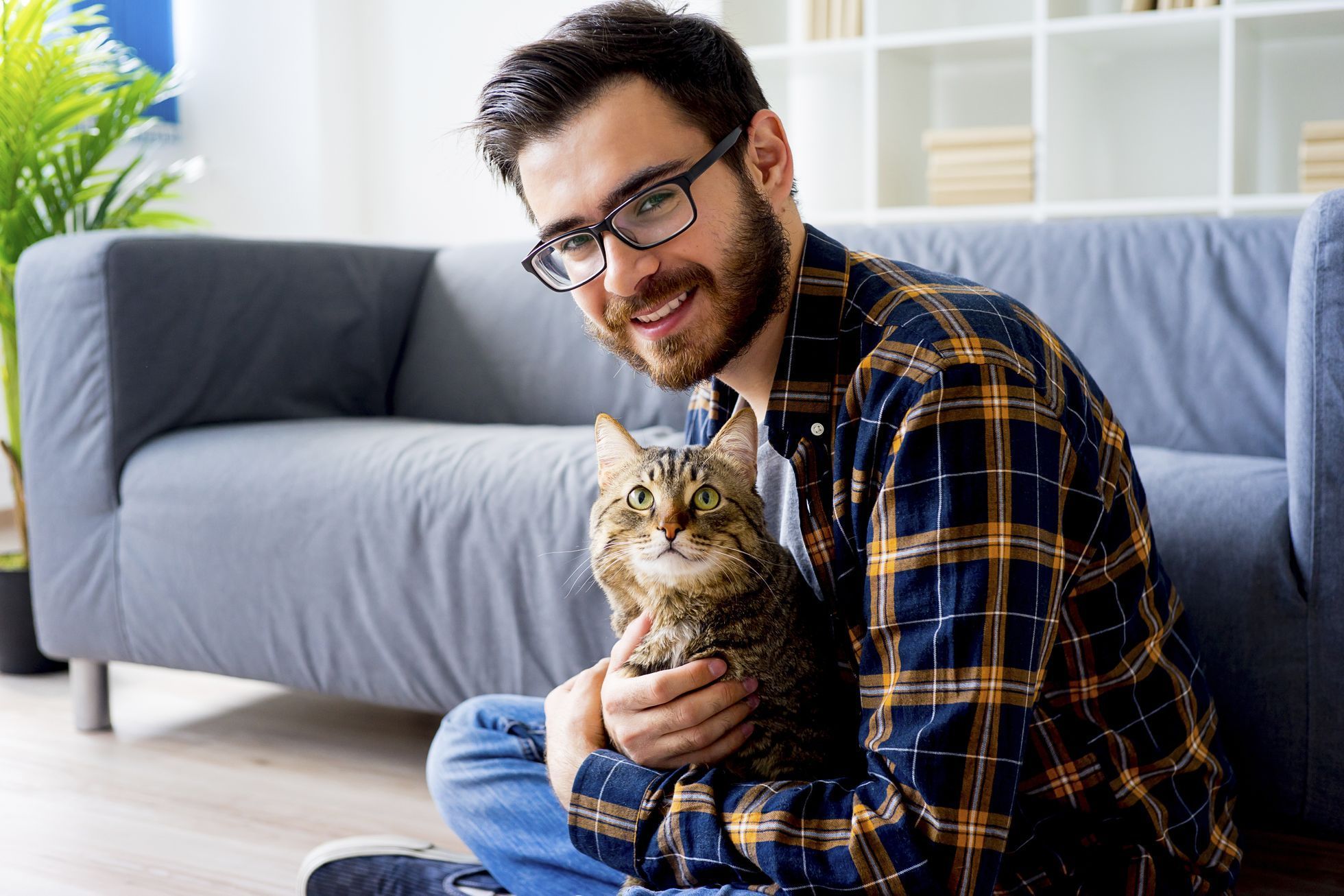 Kočka, muž, ilustrační foto