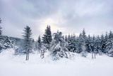Není to letošní první sníh v Česku. Od 11. do 20. října zejména na hřebenech severních hor napadlo také větší množství sněhu, uvádí meteorologové z ČHMÚ na webu infomet.cz