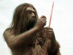 Proč byla Británie dlouho ušetřena pokusů o prehistorické osídlení? Předchůdcům neandertálce stálo v cestě moře.