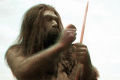 Klon neandertálce by stál 30 milionů. Risknou to vědci?