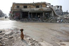 Foto: Není se kam vrátit. Osvobozené Kobani je v troskách