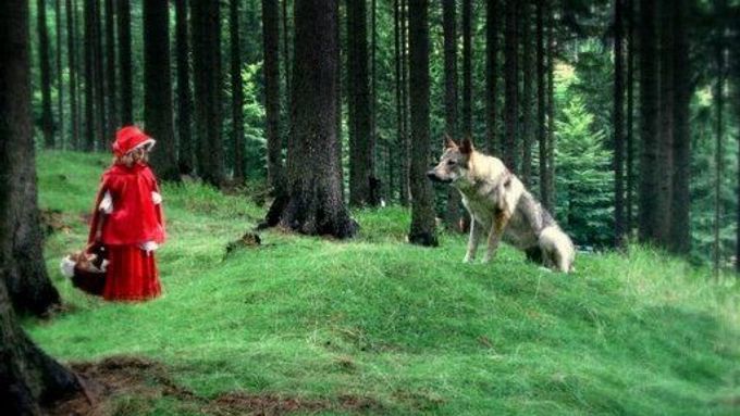 Kdopak by se vlka bál