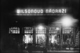Jaroslav Bruner-Dvořák: Wilsonovo nádraží, 1928