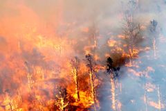 Desítky požárů zuří na řeckém ostrově Chios, hašení komplikuje silný vítr