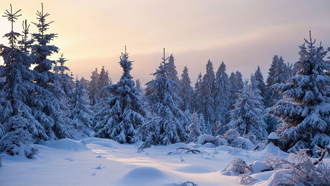 Druhý den za sebou jižní a západní Čechy zažívají nejsilnější mrazy za poslední čtyři roky. (Ilustrační foto)