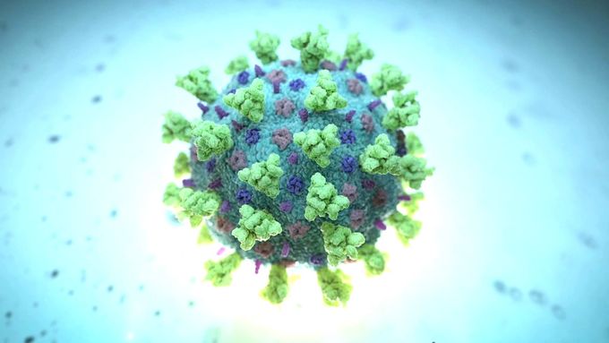 Přehledně: Co víme o jihoafrické mutaci nového typu koronaviru