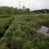 Revitalizace šumavských potoků