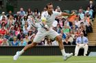 Štěpánek si finále Wimbledonu v deblu nezahraje